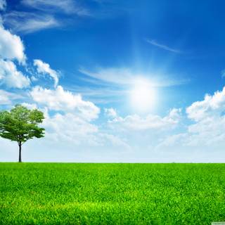 Nature 1280x960 wallpaper