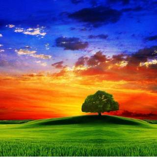 Nature 1280x960 wallpaper