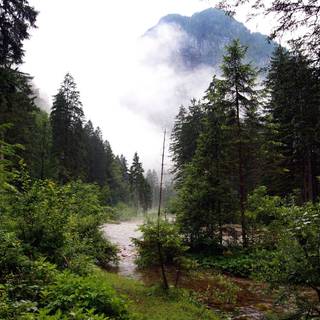 Nature 1280x960 wallpaper