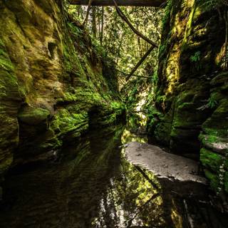 Nature 1280x960 wallpaper