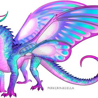 Wings of Fire Silkwing wallpaper