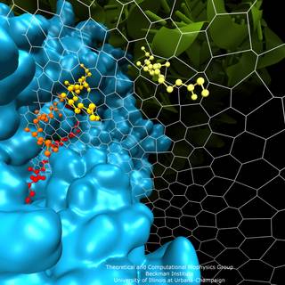 Biophysics wallpaper