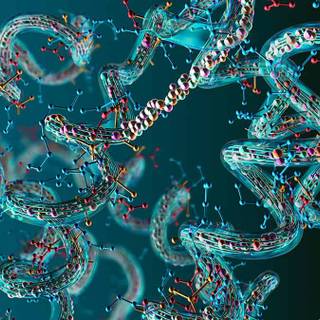 Biophysics wallpaper