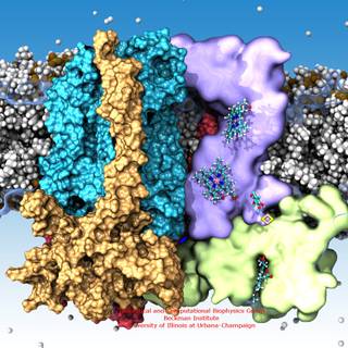 Biophysics wallpaper