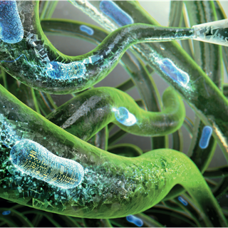 Biophysics wallpaper