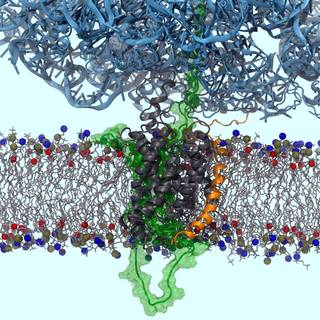 Biophysics wallpaper