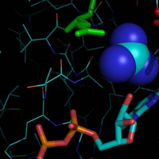 Biophysics wallpaper