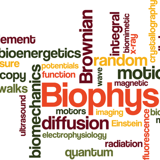 Biophysics wallpaper