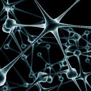 Biophysics wallpaper