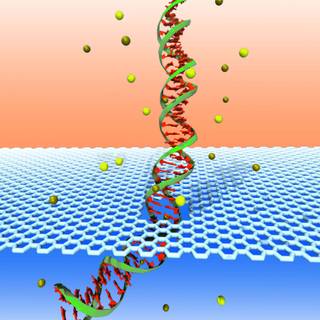 Biophysics wallpaper