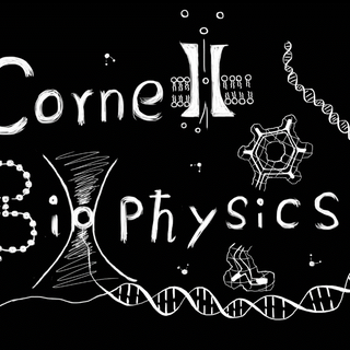 Biophysics wallpaper