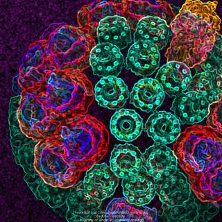 Biophysics wallpaper