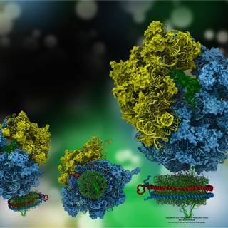 Biophysics wallpaper