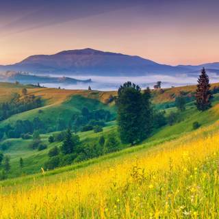 Majestic sunset wallpaper