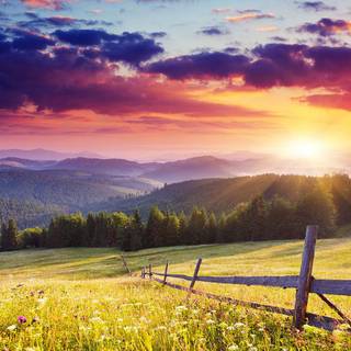 Majestic sunset wallpaper