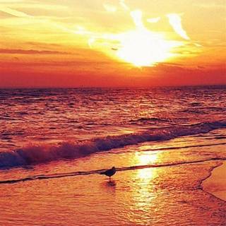 Majestic sunset wallpaper