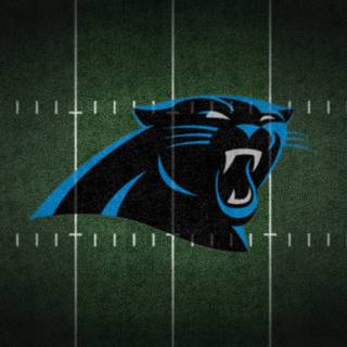 Carolina Panthers logo wallpaper