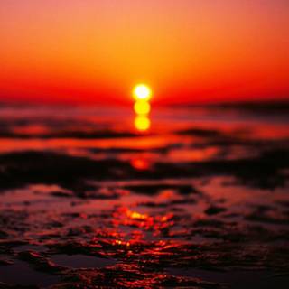 Majestic sunset wallpaper