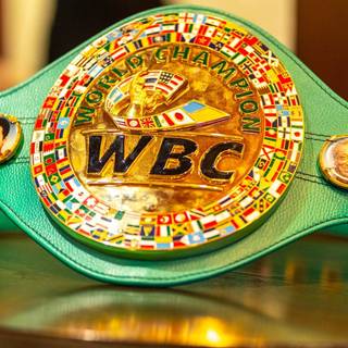 WBC boxing logo wallpaper