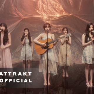 Athena Fifty Fifty wallpaper