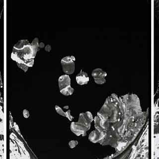 A Moon Shaped Pool wallpaper