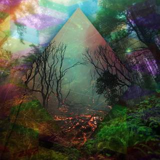 Psychedelic nature wallpaper