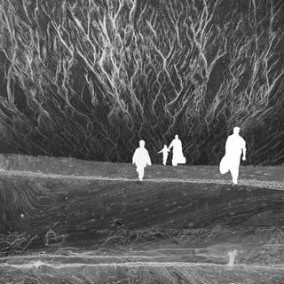 A Moon Shaped Pool wallpaper