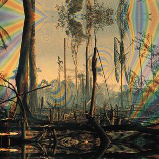 Psychedelic nature wallpaper