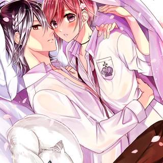 Vampire Dormitory wallpaper