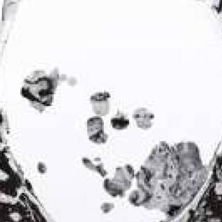 A Moon Shaped Pool wallpaper