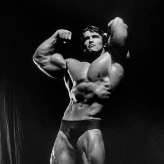 Arnold Schwarzenegger bodybuilding wallpaper