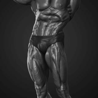 Arnold Schwarzenegger bodybuilding wallpaper