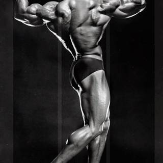 Arnold Schwarzenegger bodybuilding wallpaper