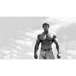 Arnold Schwarzenegger bodybuilding wallpaper