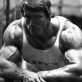 Arnold Schwarzenegger bodybuilding wallpaper