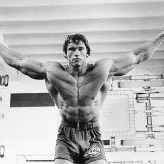 Arnold Schwarzenegger bodybuilding wallpaper