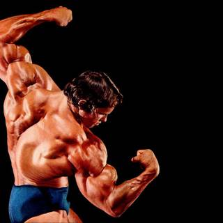 Arnold Schwarzenegger bodybuilding wallpaper