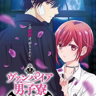 Vampire Dormitory wallpaper