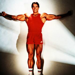 Arnold Schwarzenegger bodybuilding wallpaper