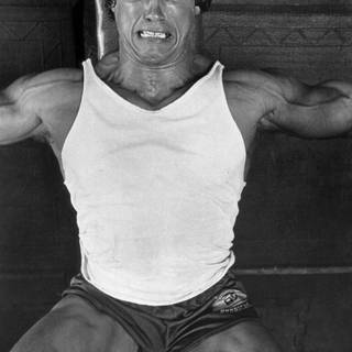 Arnold Schwarzenegger bodybuilding wallpaper