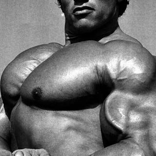 Arnold Schwarzenegger bodybuilding wallpaper