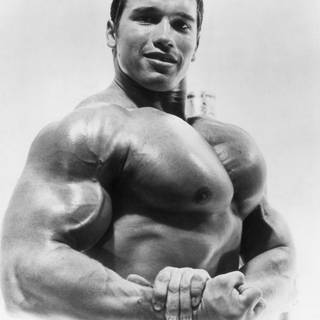 Arnold Schwarzenegger bodybuilding wallpaper