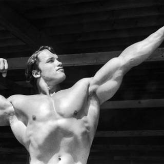 Arnold Schwarzenegger bodybuilding wallpaper