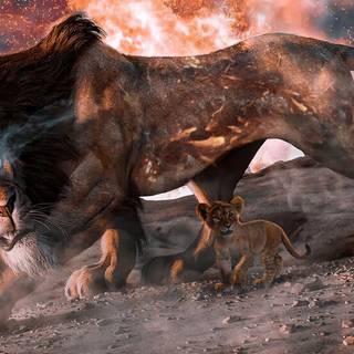 4k lion PC wallpaper