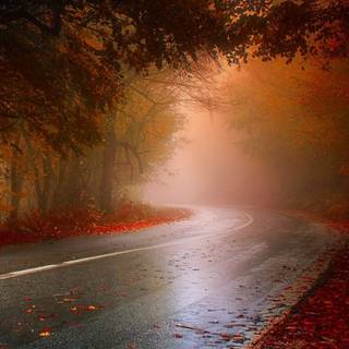 Rainy weather road iPhone wallpaper