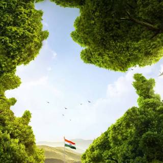 Indian flag 4k mobile wallpaper