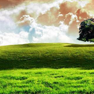 Indian flag 4k mobile wallpaper