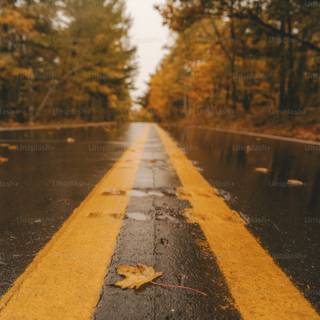 Rainy road 4k wallpaper