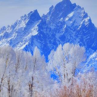 Wyoming iPhone wallpaper