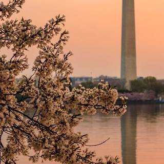 Washington iPhone wallpaper